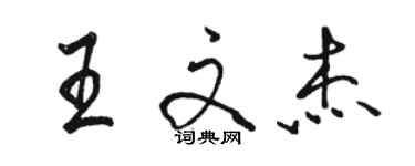 駱恆光王文杰行書個性簽名怎么寫