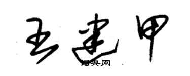 朱錫榮王建甲草書個性簽名怎么寫
