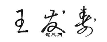 駱恆光王發壽草書個性簽名怎么寫