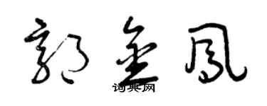 曾慶福郭金鳳草書個性簽名怎么寫