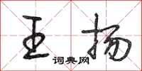 段相林王揚行書怎么寫