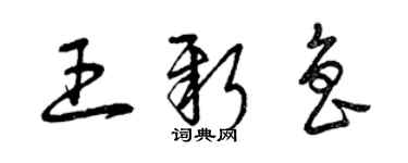 曾慶福王新魯草書個性簽名怎么寫