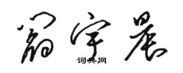 駱恆光閻宇晨草書個性簽名怎么寫