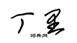 朱錫榮丁里草書個性簽名怎么寫