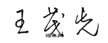 駱恆光王茂先草書個性簽名怎么寫