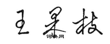 駱恆光王果枝草書個性簽名怎么寫