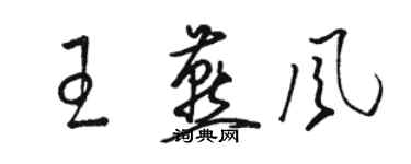 駱恆光王燕風草書個性簽名怎么寫