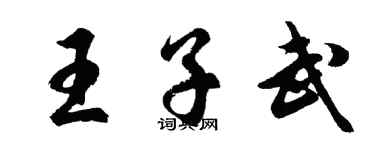 胡問遂王子武行書個性簽名怎么寫