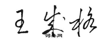 駱恆光王成格草書個性簽名怎么寫