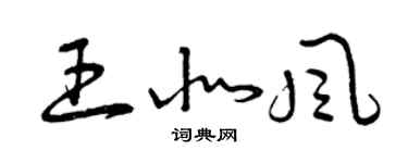 曾慶福王北風草書個性簽名怎么寫