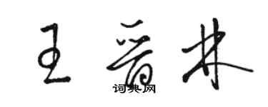 駱恆光王晉林草書個性簽名怎么寫