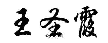 胡問遂王聖霞行書個性簽名怎么寫