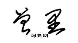 朱錫榮曾里草書個性簽名怎么寫