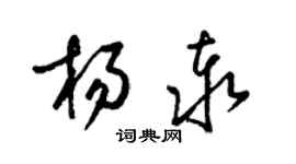 梁錦英楊泰草書個性簽名怎么寫