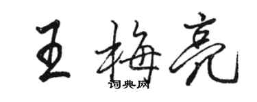 駱恆光王梅亮行書個性簽名怎么寫