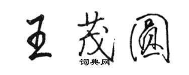 駱恆光王茂圓行書個性簽名怎么寫