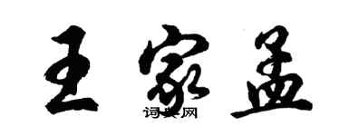 胡問遂王家孟行書個性簽名怎么寫