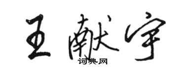 駱恆光王獻宇行書個性簽名怎么寫