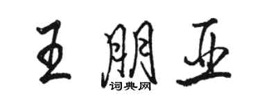 駱恆光王朋亞行書個性簽名怎么寫