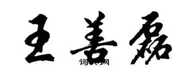 胡問遂王善磊行書個性簽名怎么寫