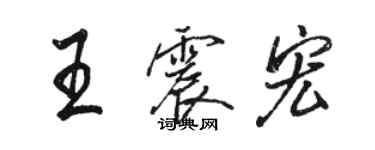 駱恆光王震宏行書個性簽名怎么寫