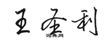 駱恆光王聖利行書個性簽名怎么寫