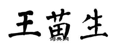 翁闓運王苗生楷書個性簽名怎么寫