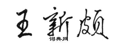 駱恆光王新頗行書個性簽名怎么寫