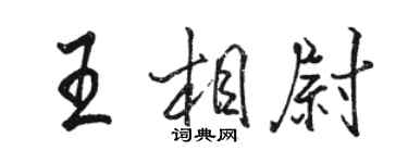 駱恆光王相尉行書個性簽名怎么寫