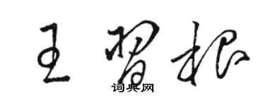 駱恆光王習根草書個性簽名怎么寫