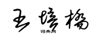 朱錫榮王培橋草書個性簽名怎么寫