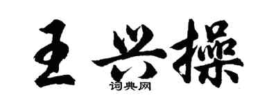 胡問遂王興操行書個性簽名怎么寫
