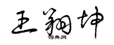 曾慶福王翔坤草書個性簽名怎么寫