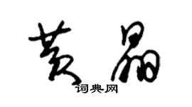 朱錫榮黃晶草書個性簽名怎么寫