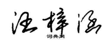 朱錫榮汪梓涵草書個性簽名怎么寫