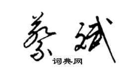 梁錦英蔡斌草書個性簽名怎么寫