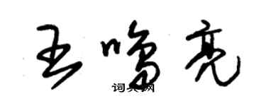 朱錫榮王鳴亮草書個性簽名怎么寫