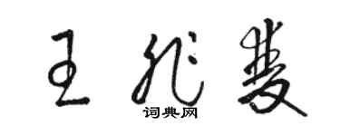 駱恆光王非雙草書個性簽名怎么寫