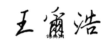 王正良王爾浩行書個性簽名怎么寫