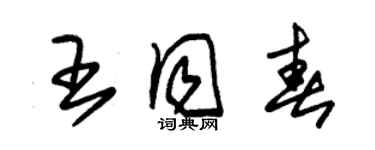 朱錫榮王同春草書個性簽名怎么寫