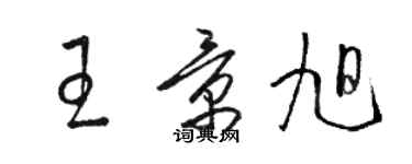 駱恆光王景旭草書個性簽名怎么寫