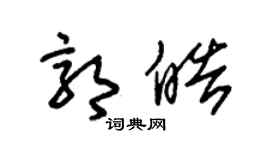 朱錫榮郭皓草書個性簽名怎么寫