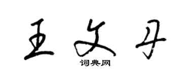 梁錦英王文丹草書個性簽名怎么寫