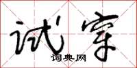 王冬齡試穿草書怎么寫