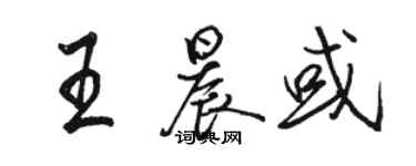 駱恆光王晨或行書個性簽名怎么寫