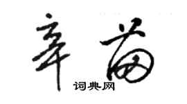 駱恆光辛苗草書個性簽名怎么寫