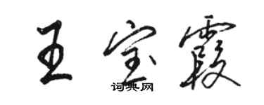 駱恆光王寶霞行書個性簽名怎么寫