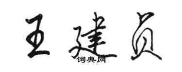 駱恆光王建貞行書個性簽名怎么寫
