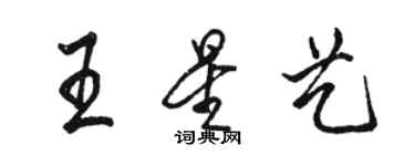 駱恆光王星藝行書個性簽名怎么寫