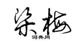 曾慶福梁梅草書個性簽名怎么寫